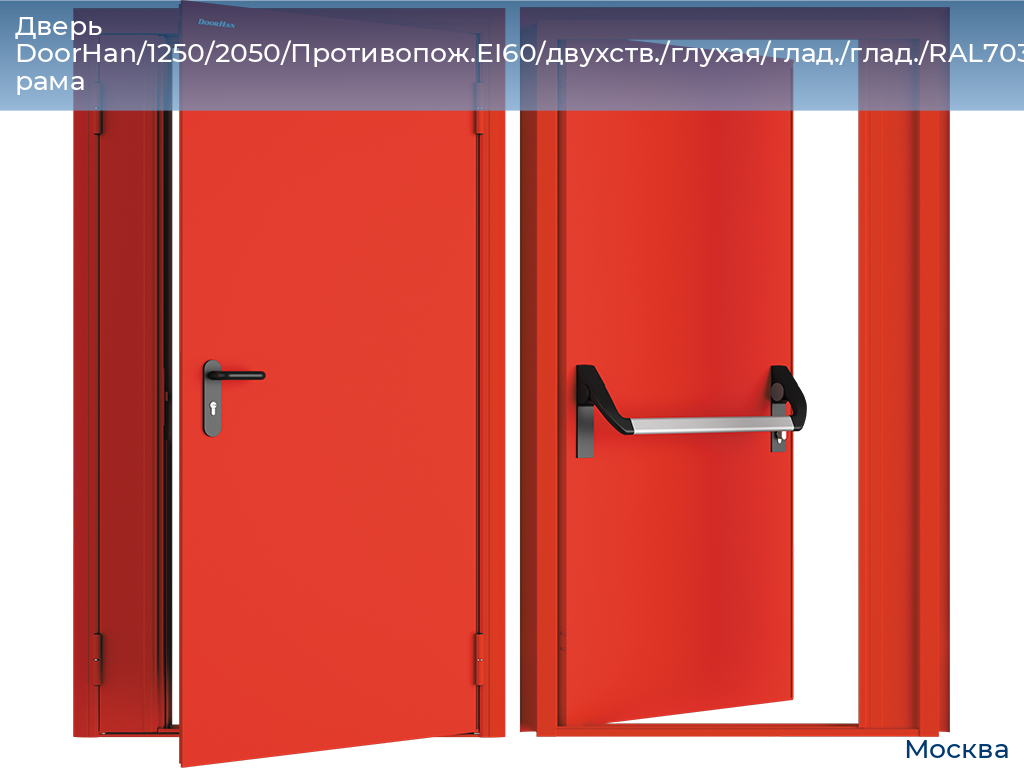 Дверь DoorHan/1250/2050/Противопож.EI60/двухств./глухая/глад./глад./RAL7035/лев./угл. рама, 