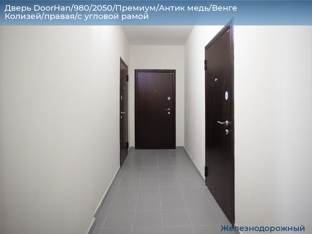 Дверь DoorHan/980/2050/Премиум/Антик медь/Венге Колизей/правая/с угловой рамой, zheleznodorozhniy.doorhan.ru